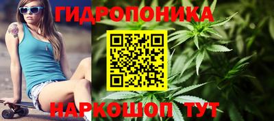 амф Кулебаки