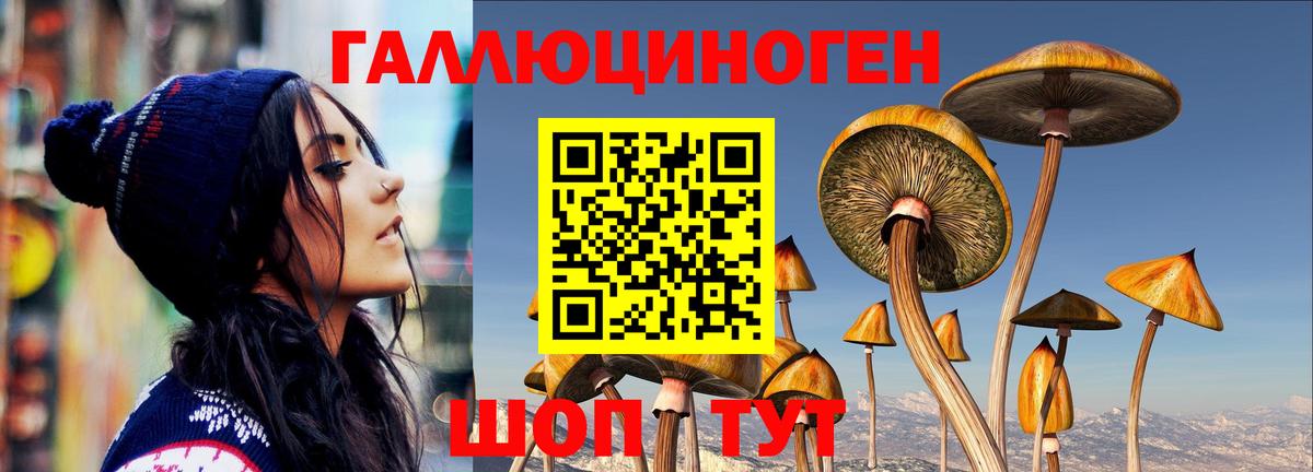 Галлюциногенные грибы GOLDEN TEACHER Ярцево